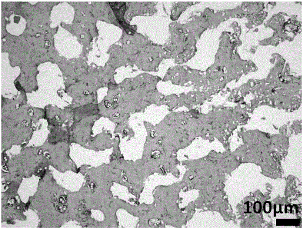 Preparation method of mouse skin burn model