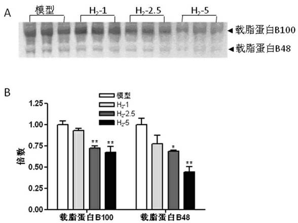 Application of hydrogen-saturated normal saline in preparation of medicine for treating hyperlipidemia disease