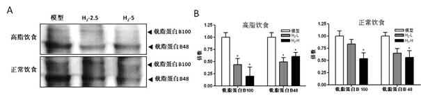 Application of hydrogen-saturated normal saline in preparation of medicine for treating hyperlipidemia disease