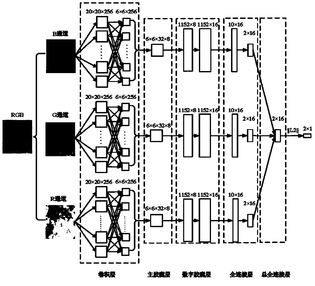 Forest fire identification method and device based on CN and three-channel capsule network