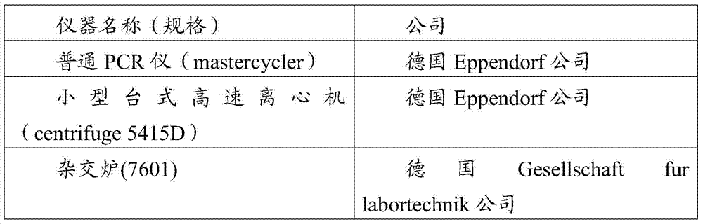 Specific fragment composition of mycobacterium tuberculosis drug-resistant gene of four second-line drugs and application thereof