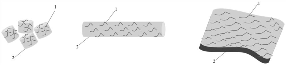 Human body implant material and preparation method thereof