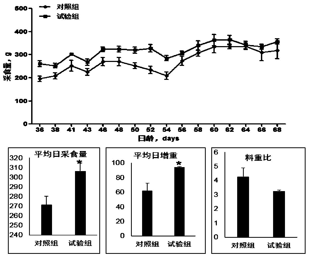 Meat goose feed for improving feed intake in fattening period and preparation method thereof