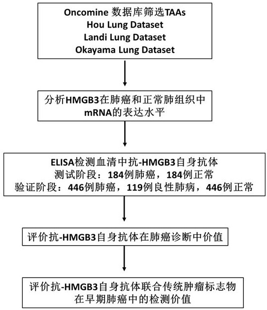 A kind of lung cancer marker anti-hmgb3 autoantibody and its application