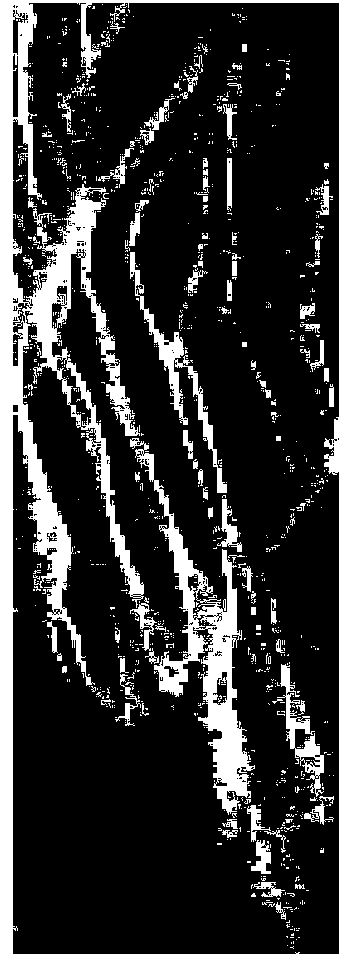 Method for finely classifying polarized SAR images based on Freeman entropy and self-learning