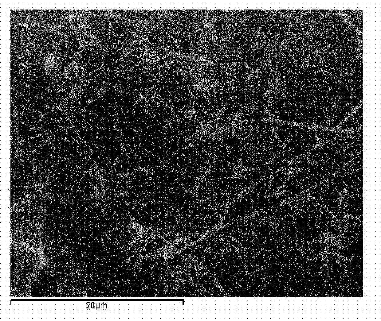 Method for the purification of alpha-alumina fibers