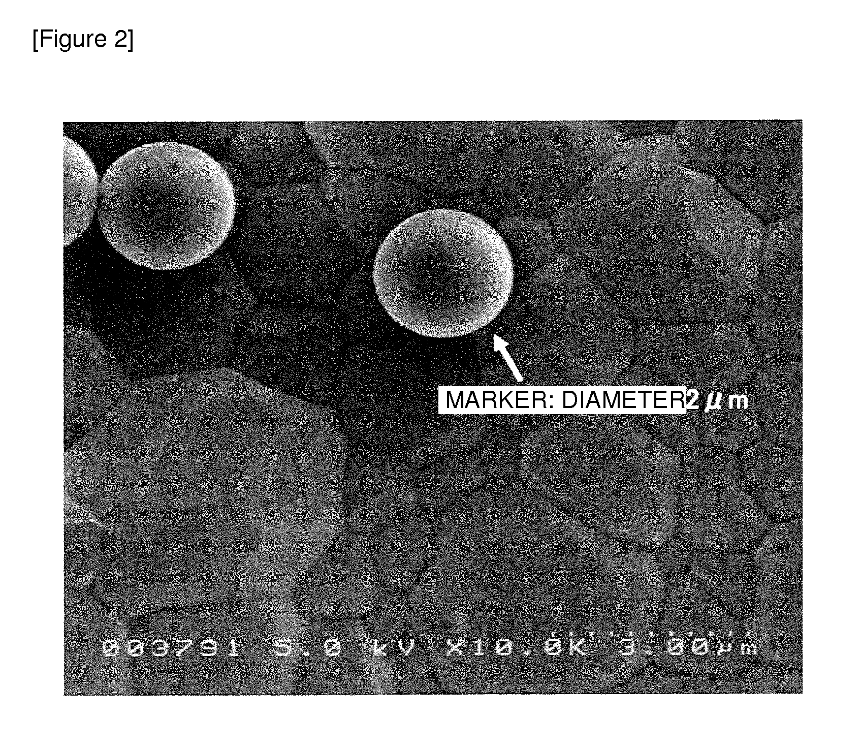 Vaccine adjuvant