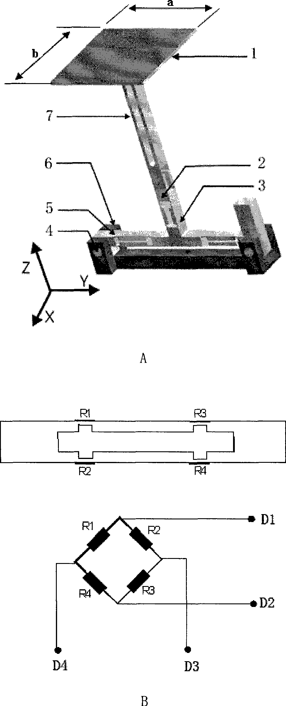 Test system of animal foot-face contact counter force