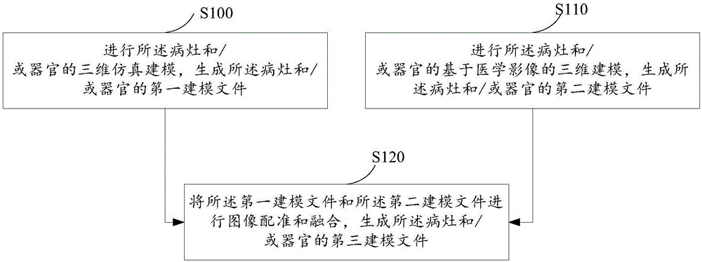 Nidus and/or organ modeling method and apparatus used for model body making