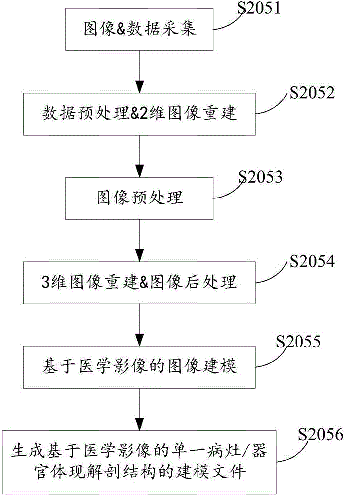 Nidus and/or organ modeling method and apparatus used for model body making