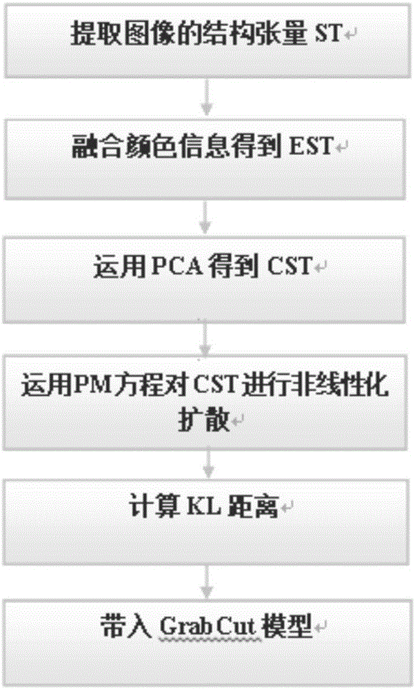 Image segmentation method based on structure tensor and image segmentation model