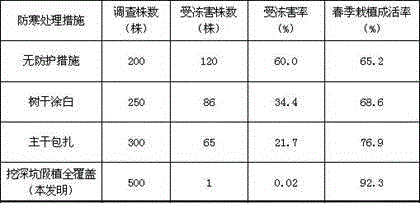 Method for Badam nursery stock whole-covering provisonal planting cold-proof overwintering