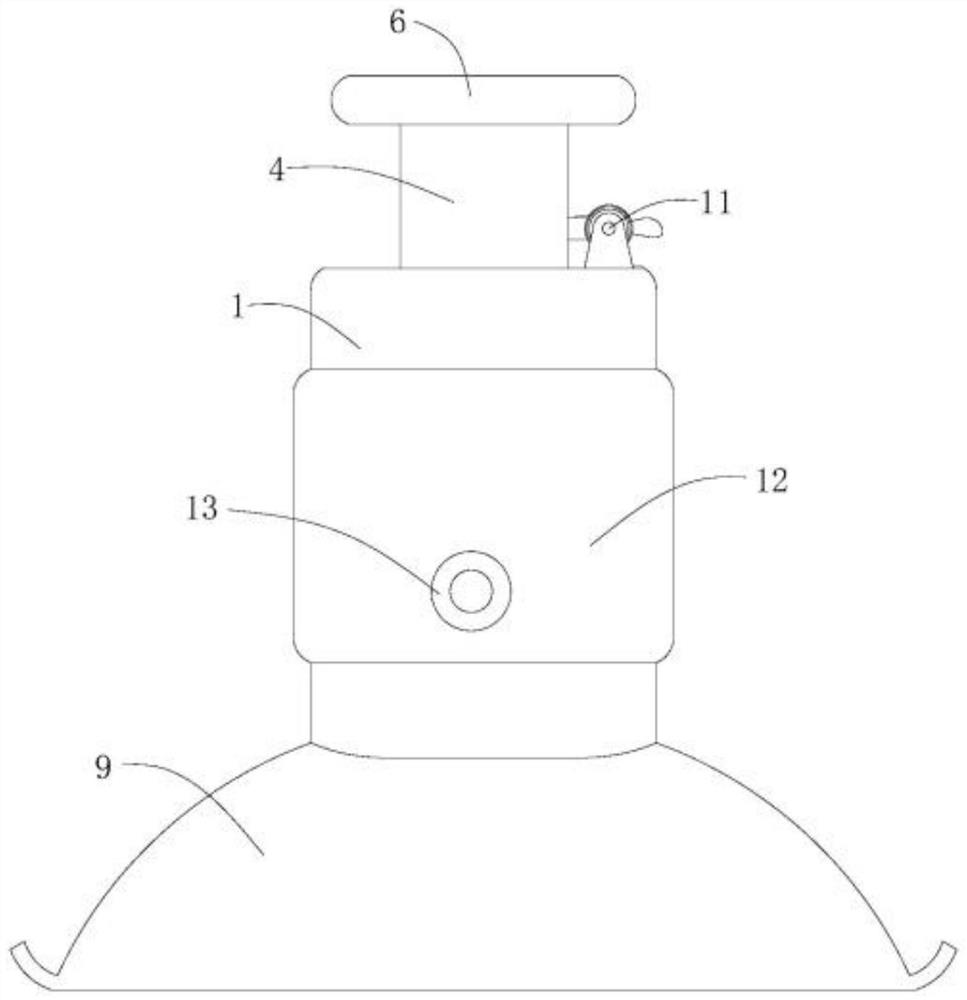 Negative pressure type leech remover and using method