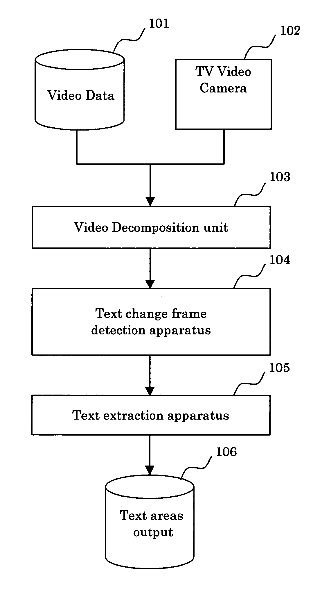 Video text processing apparatus