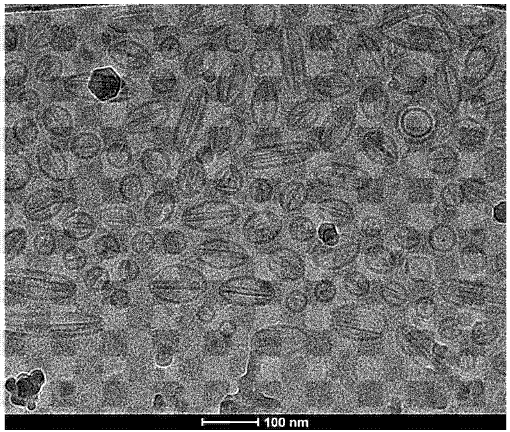 Dasatinib liposome preparation, and preparation method thereof