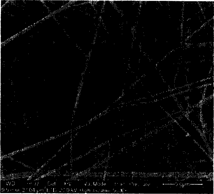 Super fine composite terylene fibers storing energy through phase change, and preparation method