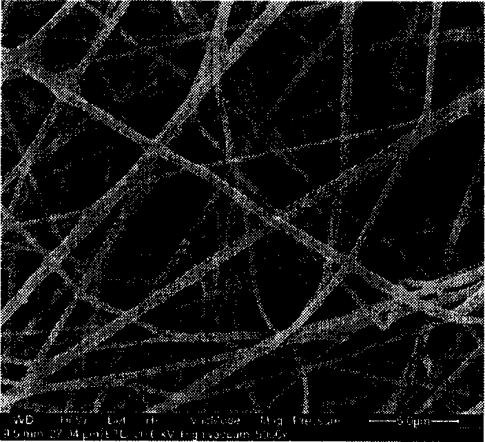 Super fine composite terylene fibers storing energy through phase change, and preparation method