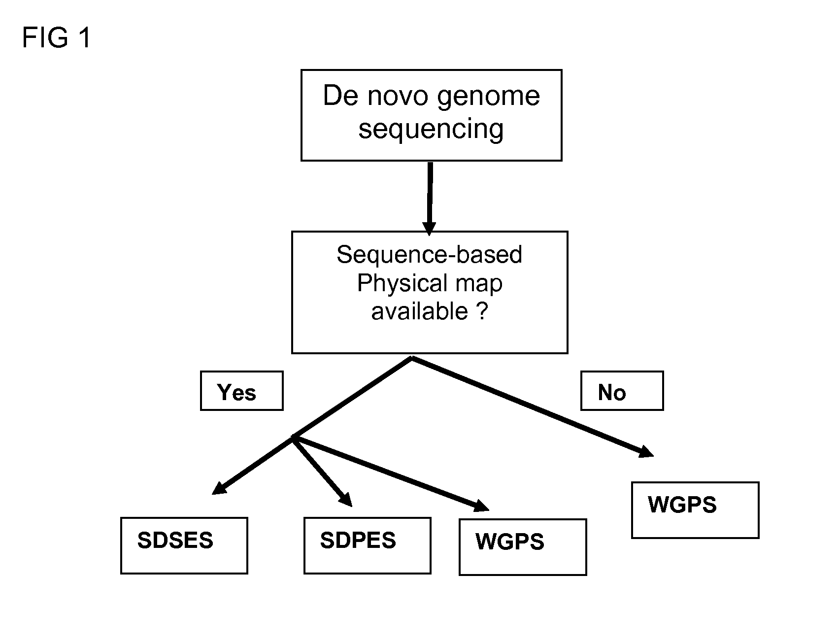 Restriction enzyme based whole genome sequencing