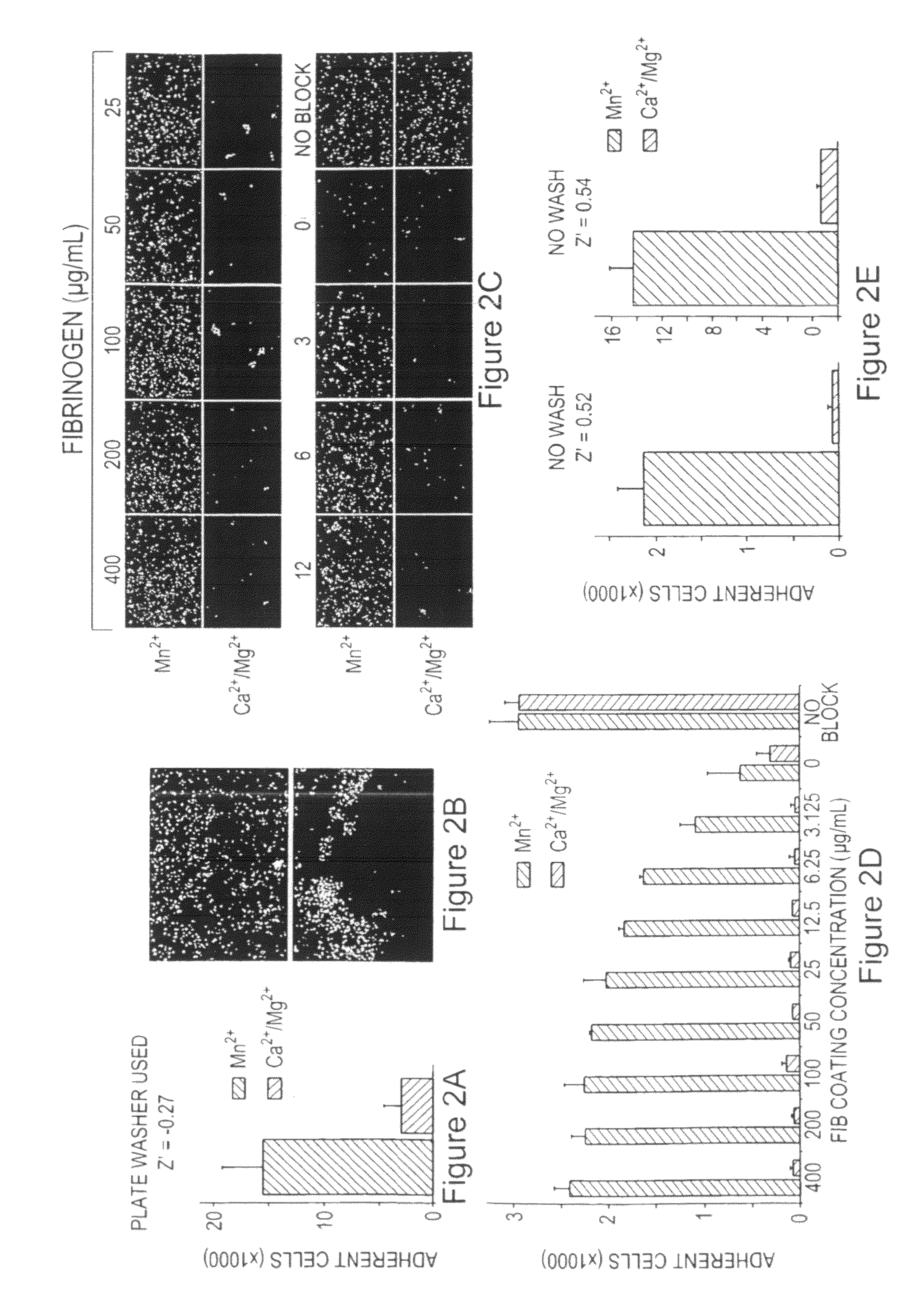 Compounds for modulating integrin CD11b/CD18