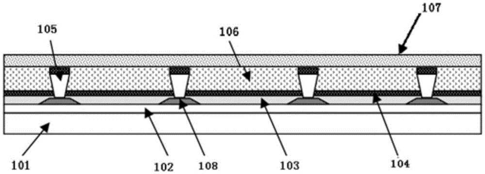 Thin film-packaged OLED screen body and preparation method thereof