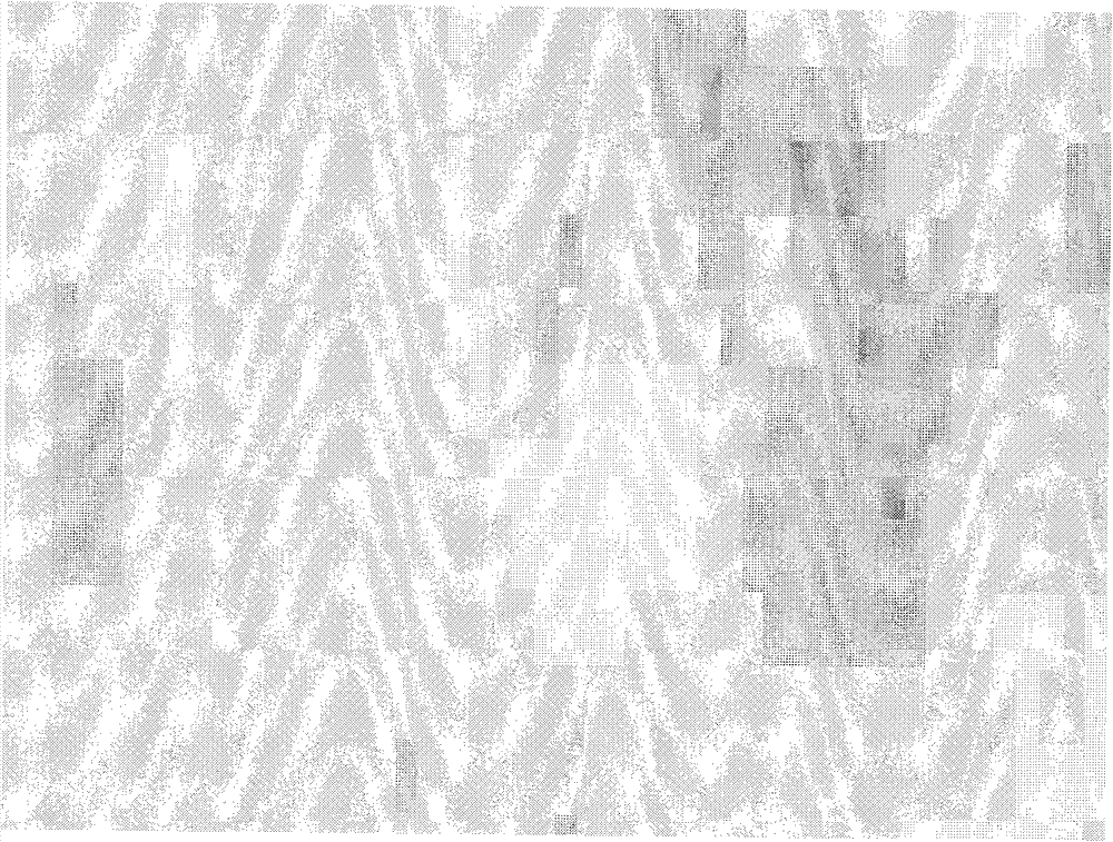 Corrosion resistant coating for metal magnesium and preparation method thereof