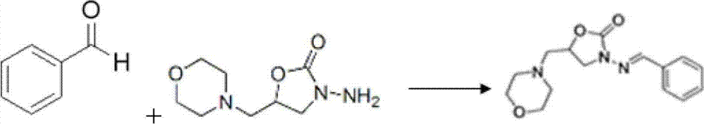 Monoclonal antibody, enzyme-linked immunosorbent assay method and kit for detecting furaltadone residue marker AMOZ