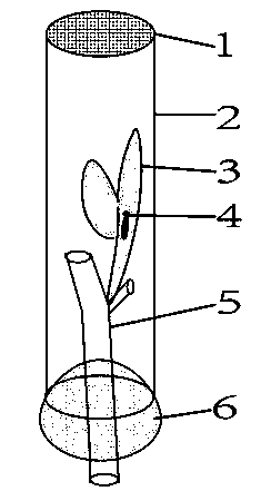 Monitoring raising pipe for tea lesser leafhoppers and use method