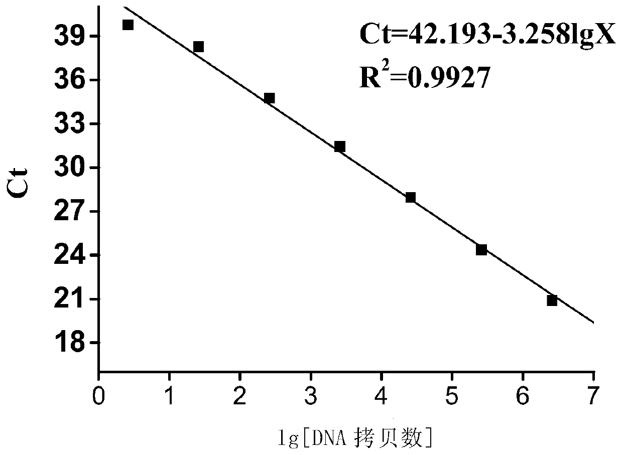 A polynucleotide, method and kit for real-time fluorescent quantitative PCR detection of Vibrio cholerae