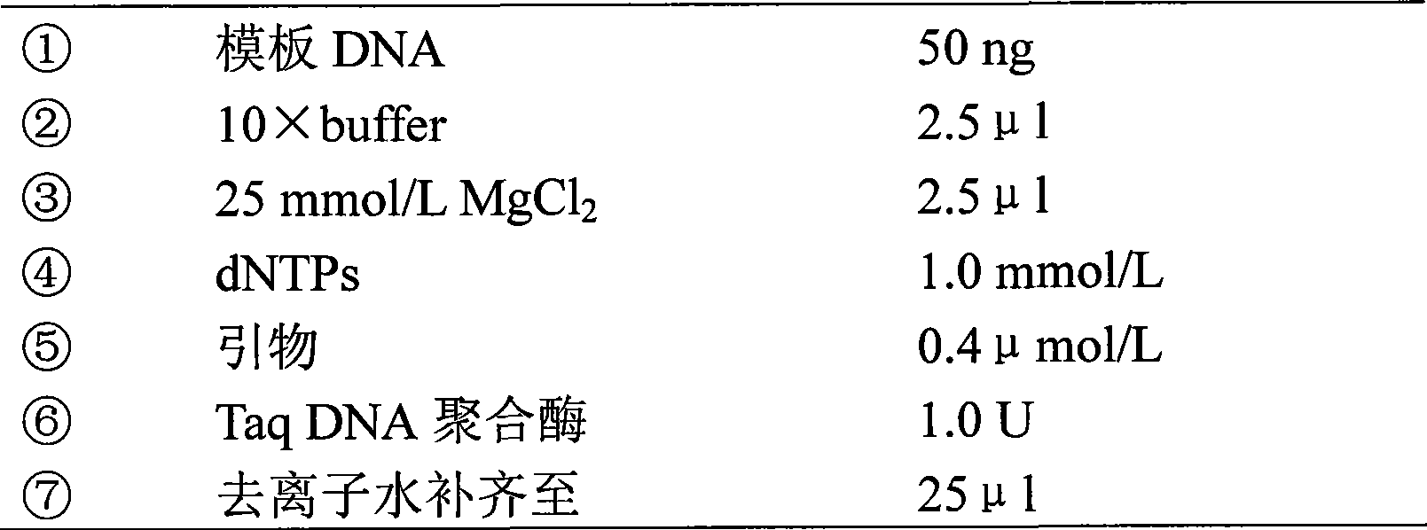 Molecular identification method for siniperca kneri garman and siniperca scherzeri and kit