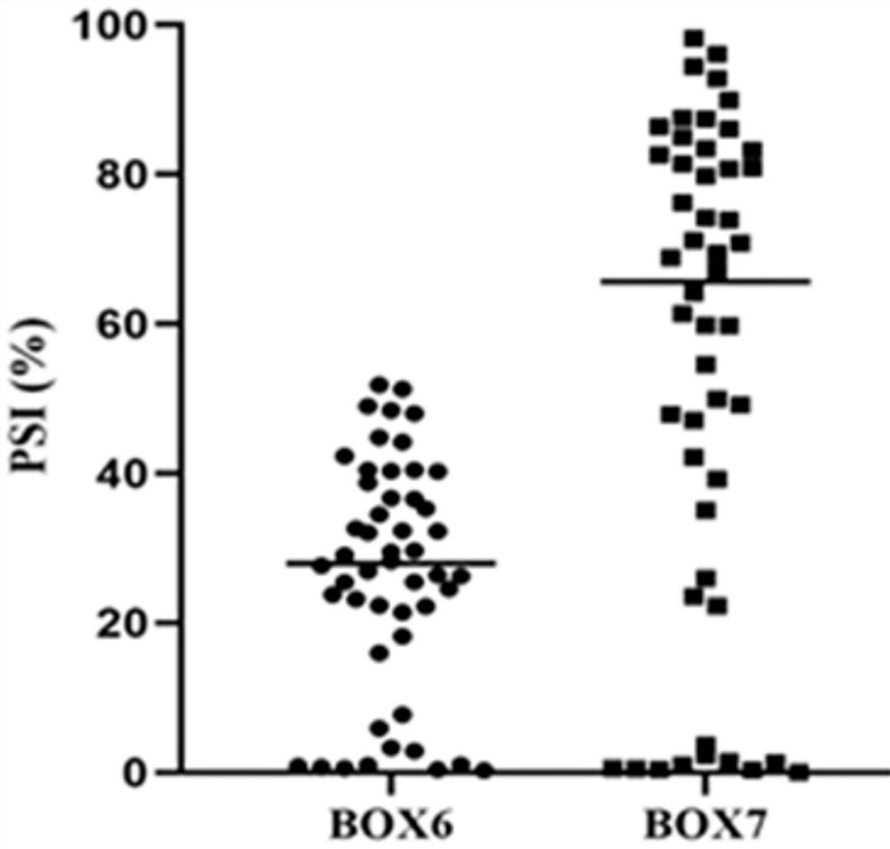 Focal adhesion kinase splice isoforms and their applications