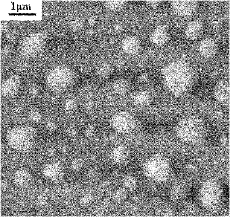 Method for preparing sun-proof micelle emulsifier