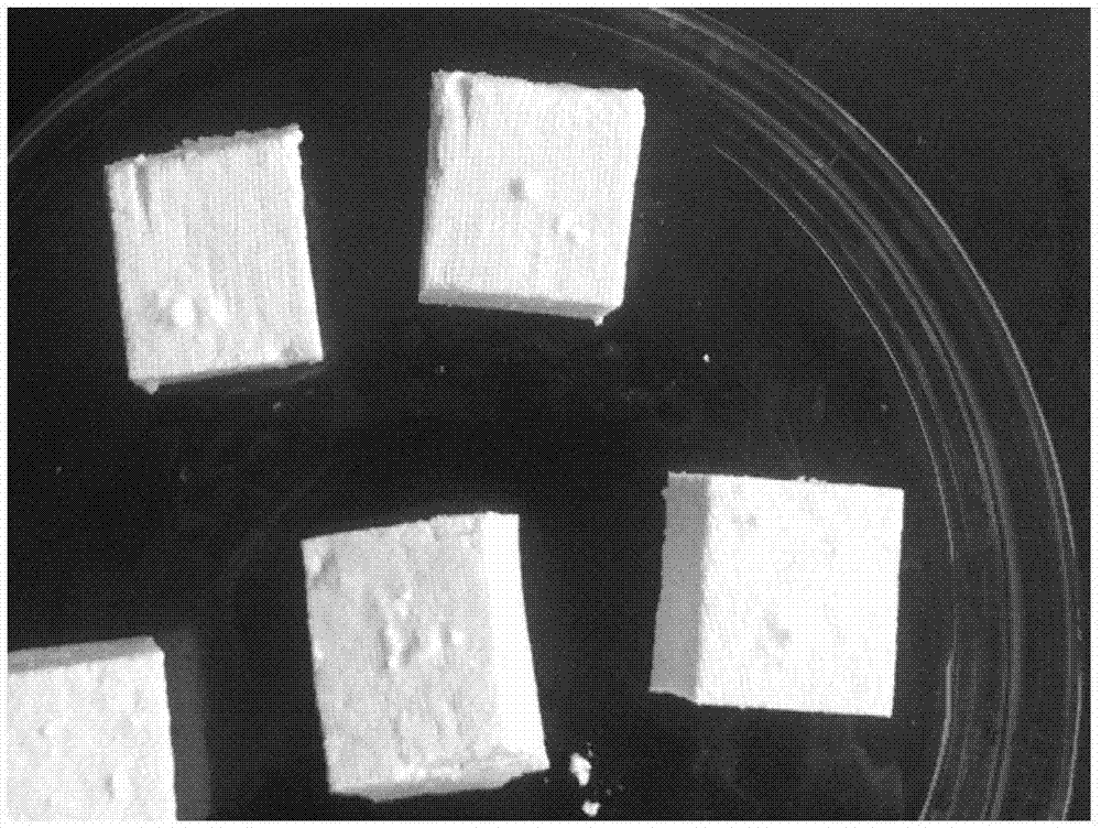 Active mold inhibitor, as well as preparation method and application thereof