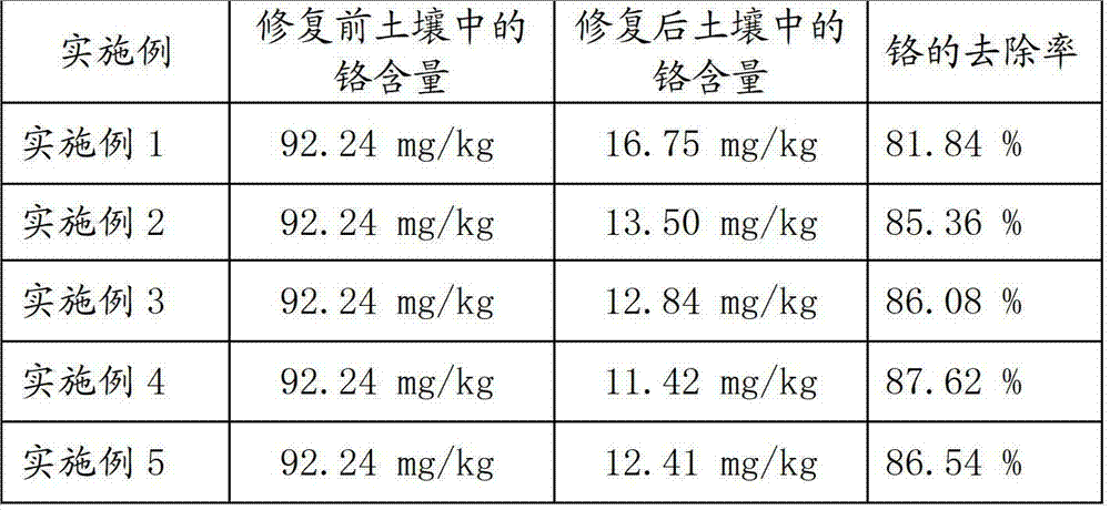 Repairing method of chromium polluted soil