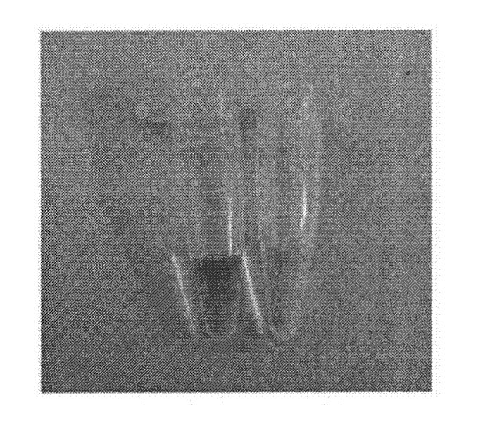 Reactive reagent of nucleic acid amplification by chain replacement at room temperature and nucleic acid amplification method at room temperature thereof