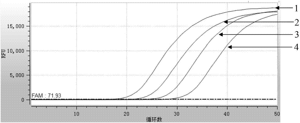 Primer for TaqMan probe real-time fluorescence PCR (Polymerase Chain Reaction) detection on DNA SRY (Deoxyribonucleic Acid Sex-Determining Region on the Y Chromosome) gene of human genome of trace sample