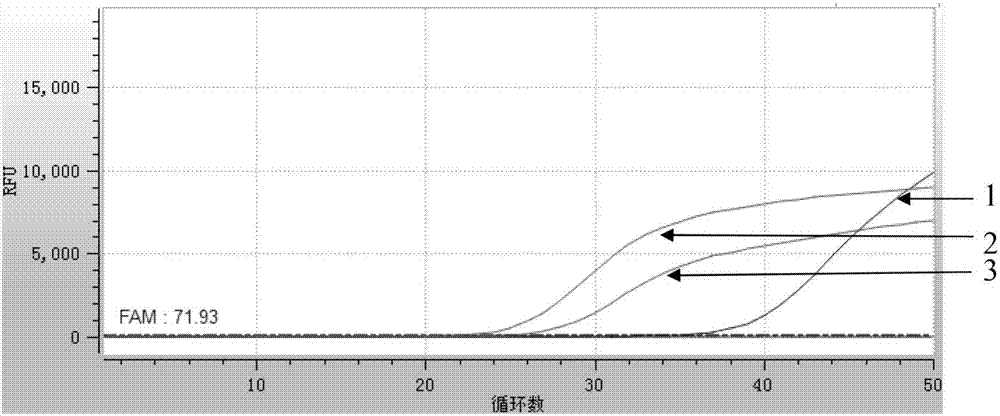 Primer for TaqMan probe real-time fluorescence PCR (Polymerase Chain Reaction) detection on DNA SRY (Deoxyribonucleic Acid Sex-Determining Region on the Y Chromosome) gene of human genome of trace sample