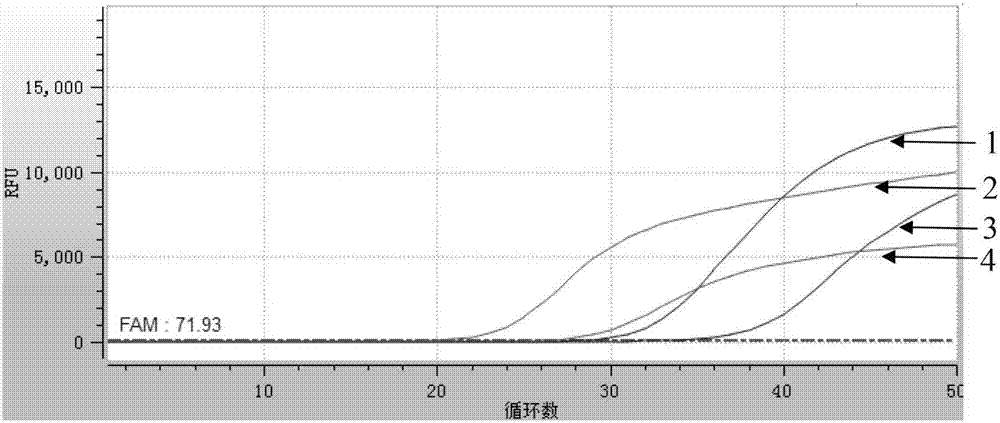 Primer for TaqMan probe real-time fluorescence PCR (Polymerase Chain Reaction) detection on DNA SRY (Deoxyribonucleic Acid Sex-Determining Region on the Y Chromosome) gene of human genome of trace sample