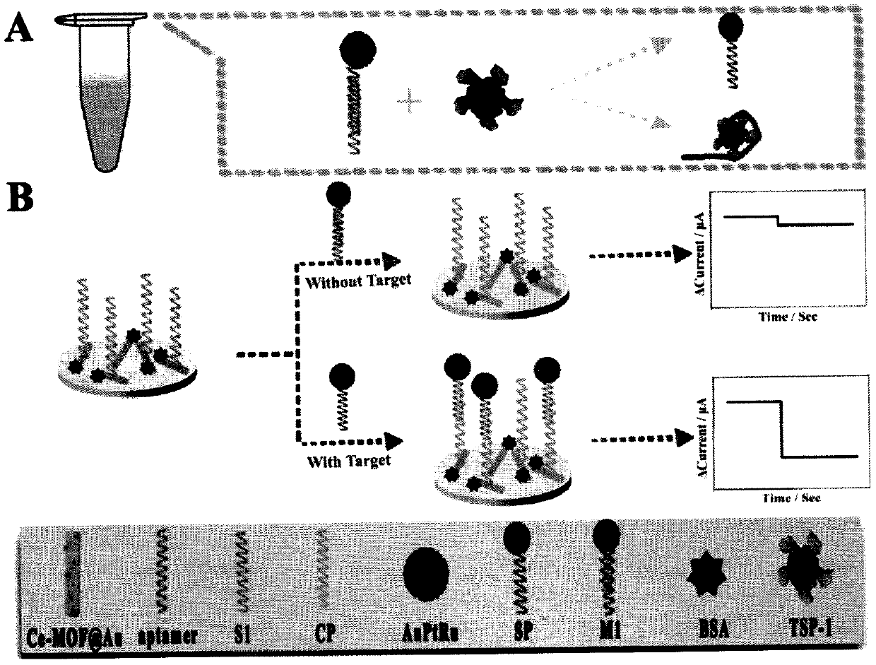 Trimetal signal amplification aptamer sensor based on cerium metal organic framework @gold nanocomposite and gold-platinum-ruthenium nanocomposite for thrombin sensitive protein-1 detection