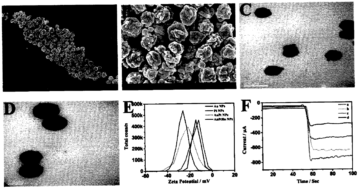 Trimetal signal amplification aptamer sensor based on cerium metal organic framework @gold nanocomposite and gold-platinum-ruthenium nanocomposite for thrombin sensitive protein-1 detection