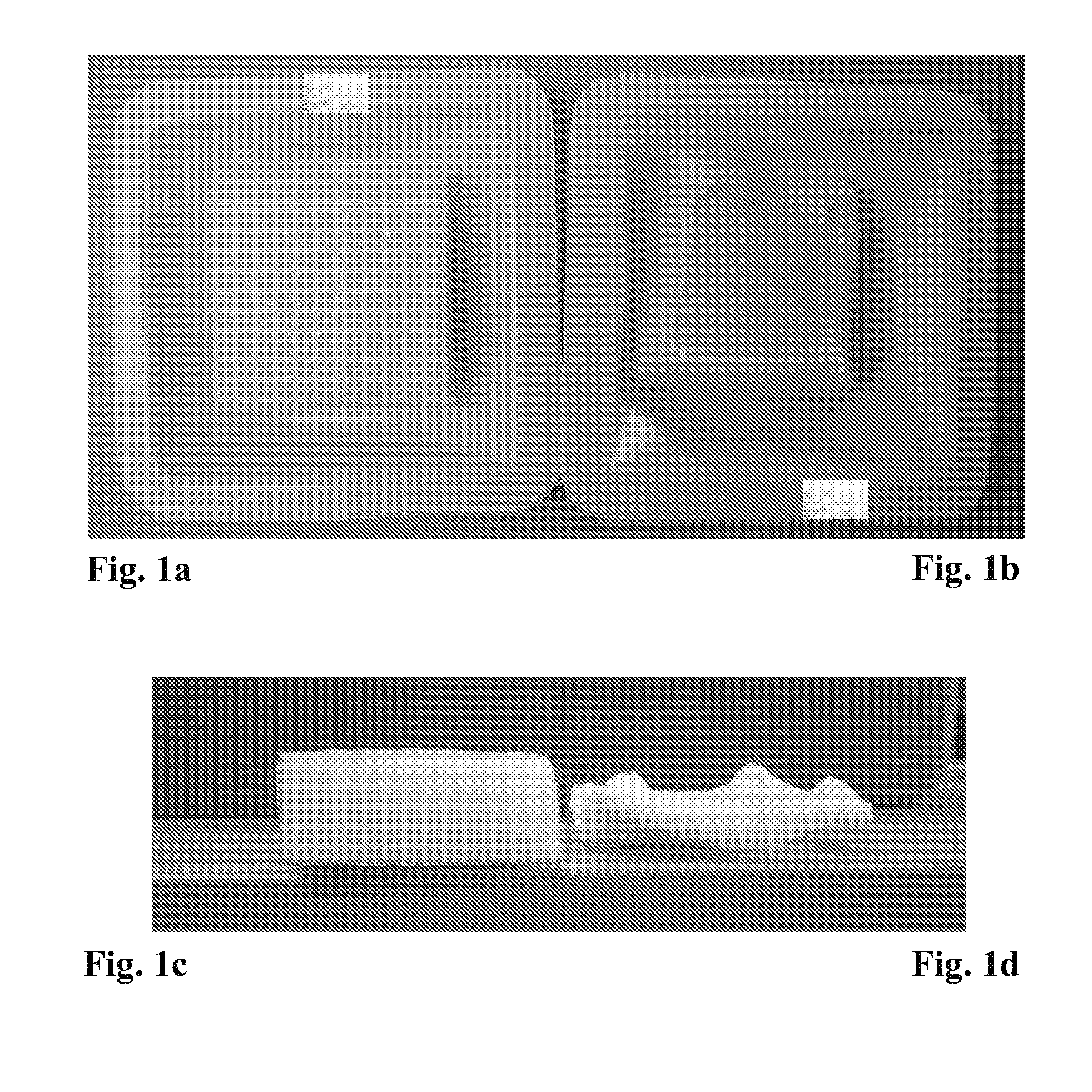 Gelatin Sponge Comprising an Active Ingredient, Its Preparation and Use