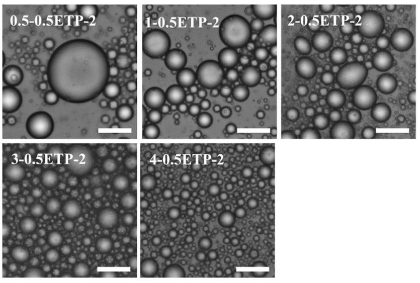 Tea polyphenol nanoparticle stabilized Pickering emulsion and preparation method thereof