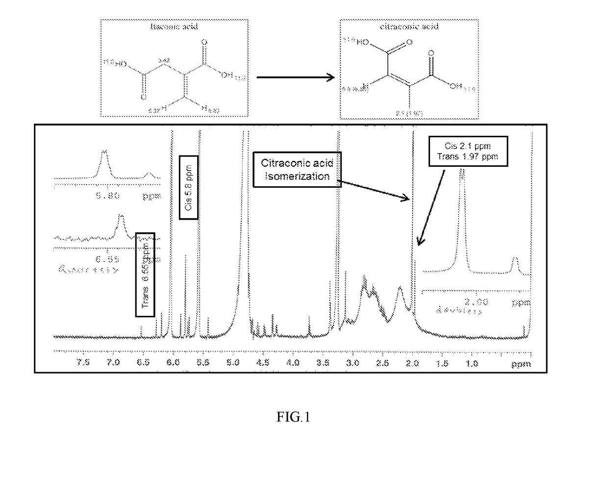 Itaconic acid polymers