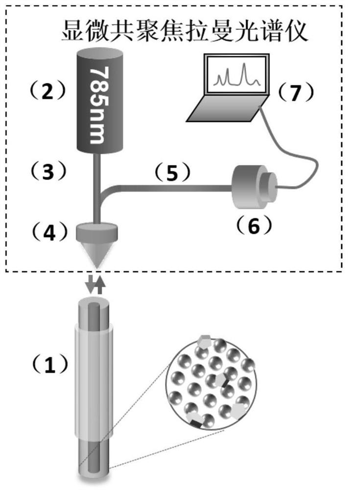 Silver-plated optical fiber Raman probe as well as preparation method and application thereof