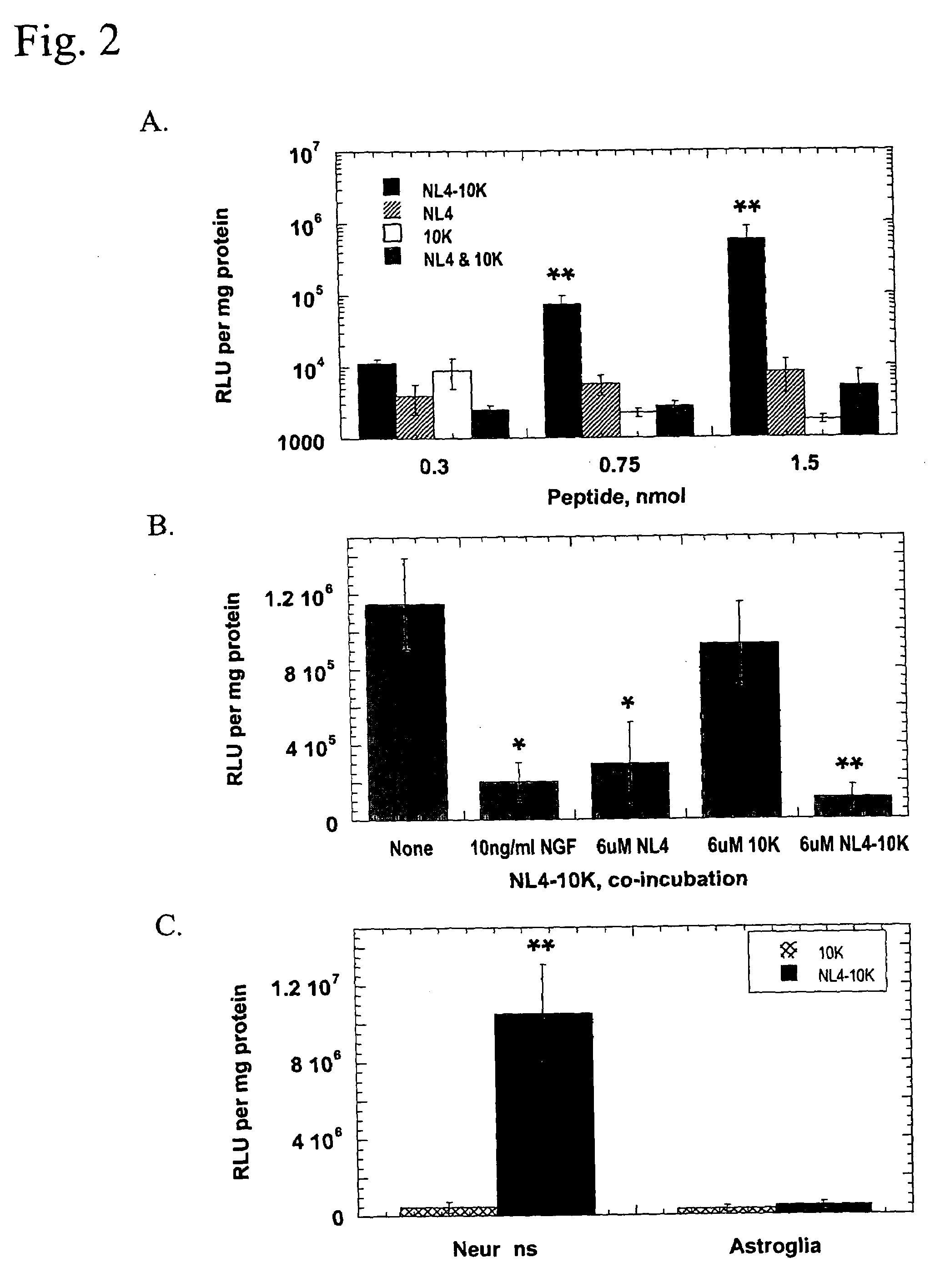 Recombinant polypeptide useful for neurotrophin receptor mediated gene delivery and as neurotrophin agonist