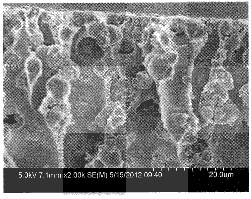 Porous polymer membrane of inlaid molecular sieve with adsorption function