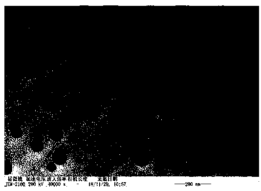 Panaxatriol supersaturated self-microemulsion and preparation method thereof