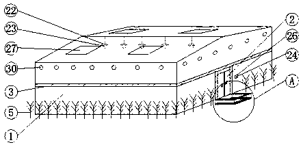 Snake-proof henhouse for breeding mountain chickens