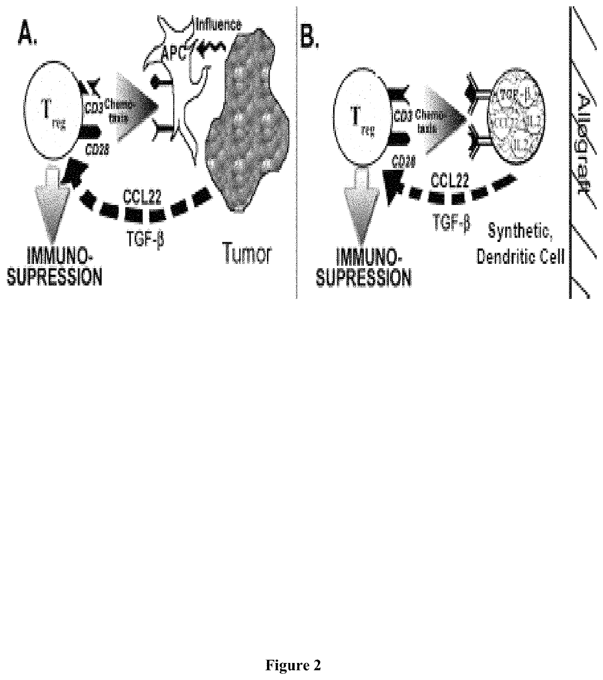 Vasoactive intestinal peptide release from microparticles