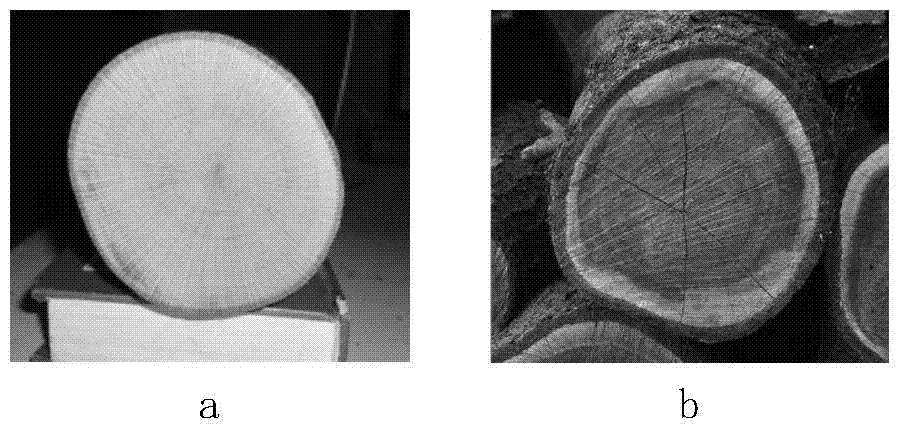 Log end surface image partitioning algorithm for improving active contour model based on circle constraint