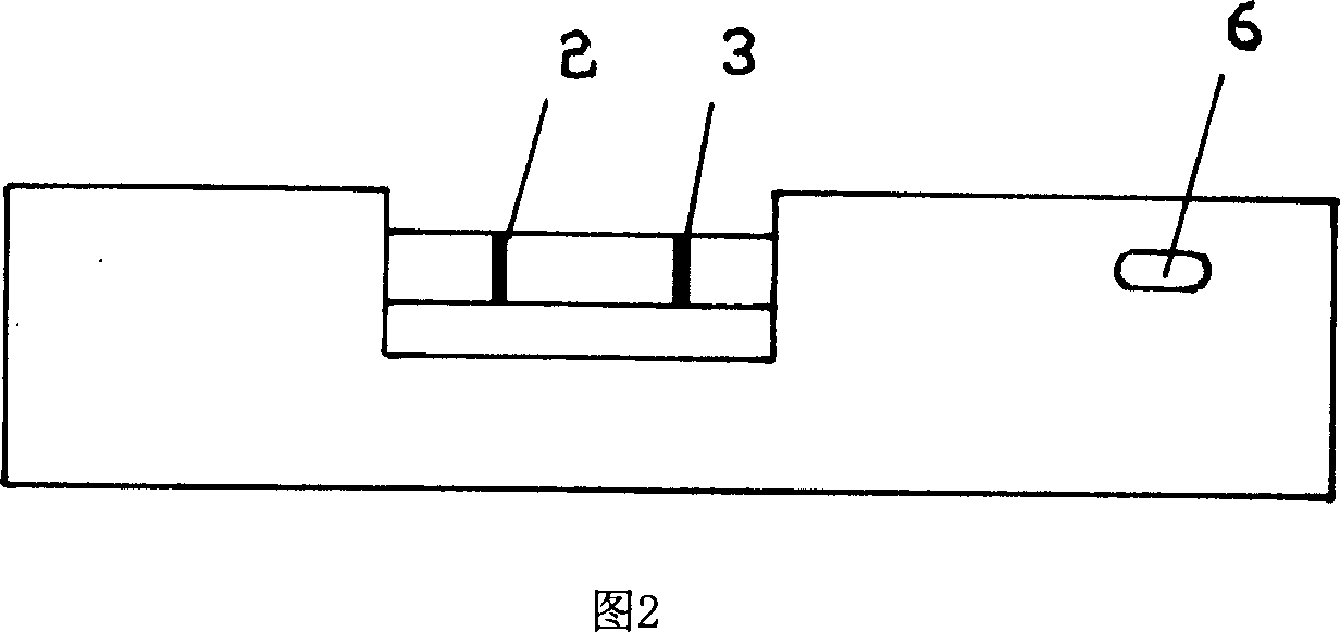 Immuno magnetic bead and producing method, and method and test plate for detection